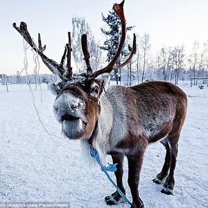 Meet your Posher, James